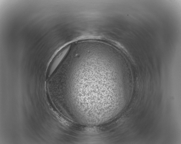 X0000064741220200602241744