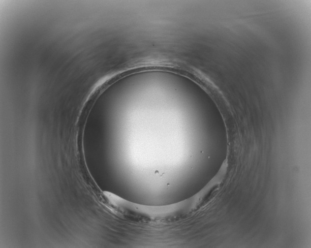 X0000064741222200602241744