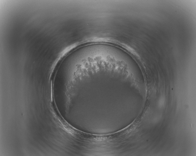 X0000064741223200602241744