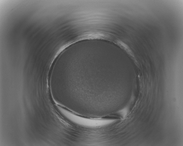 X0000064741226200602241744