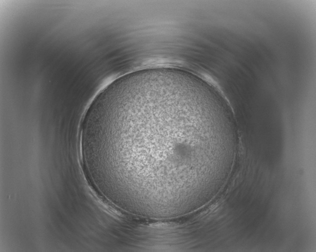 X0000064741227200602241744