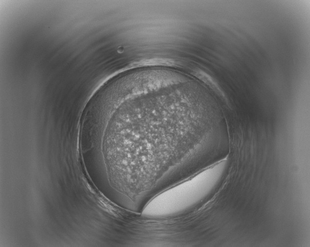 X0000064741228200602241744