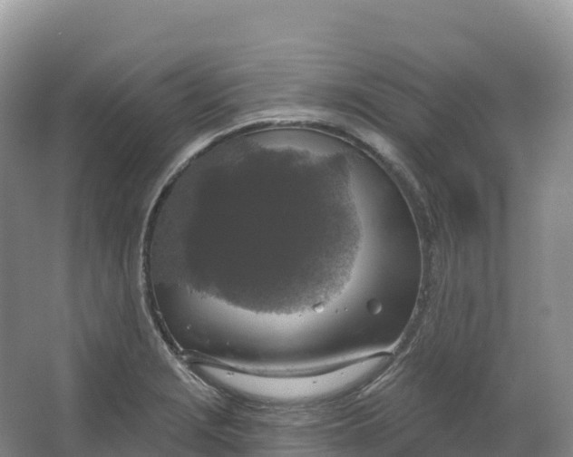 X0000064741229200602241744