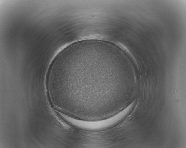 X0000064741230200602241744