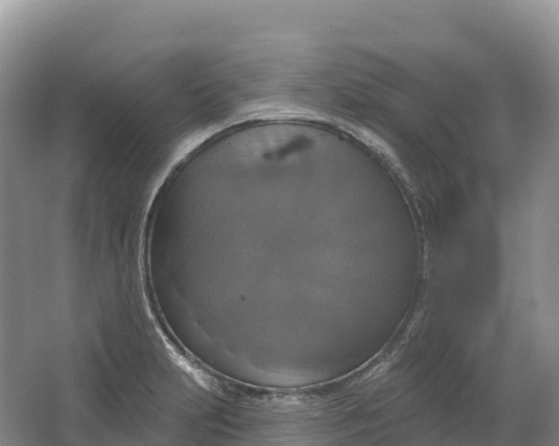 X0000064741231200602241744