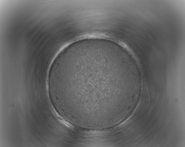 X0000064741232200602241744