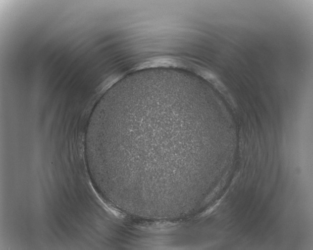 X0000064741233200602241744