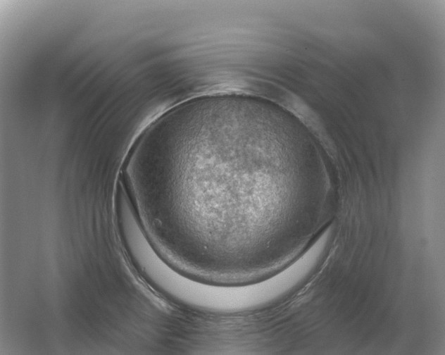 X0000064741234200602241744