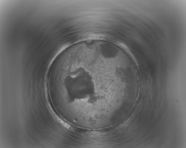 X0000064741235200602241744