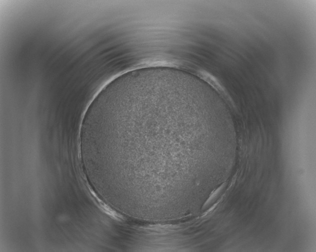 X0000064741236200602241744