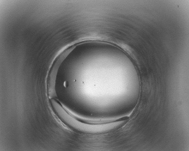 X0000064741238200602241745