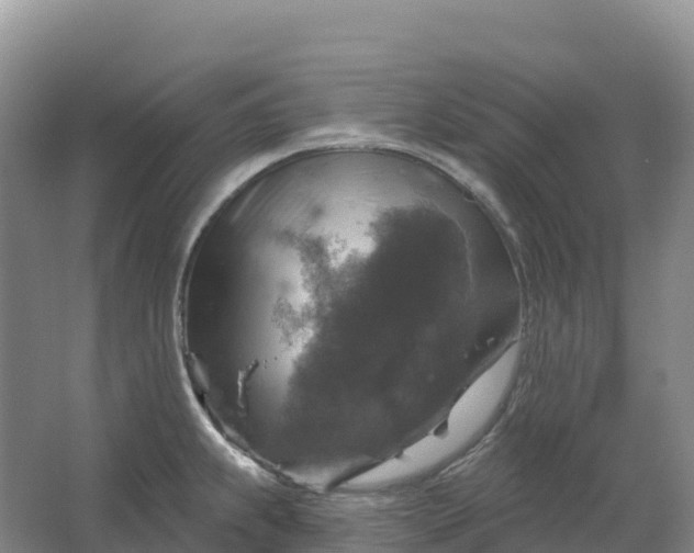 X0000064741239200602241745