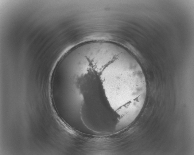 X0000064741240200602241745