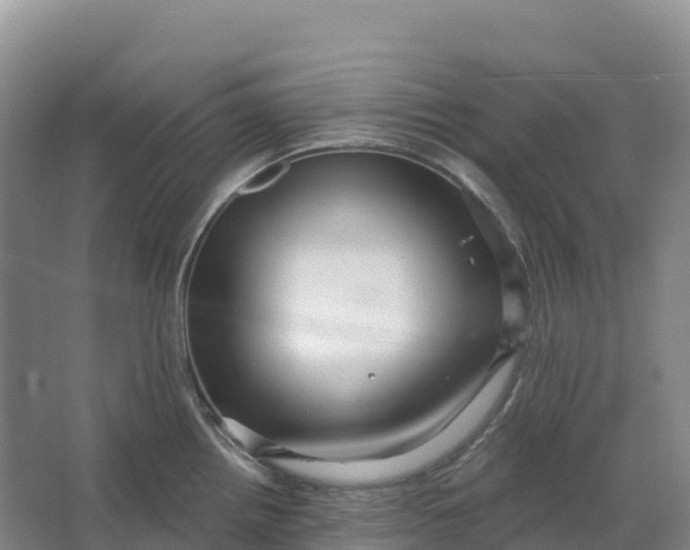 X0000064741242200602241745