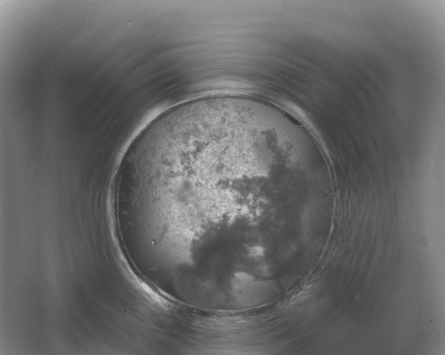 X0000064741243200602241745