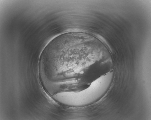 X0000064741244200602241745