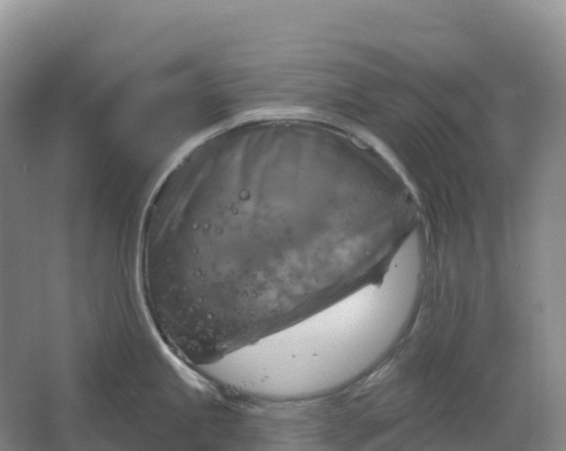 X0000064741245200602241745