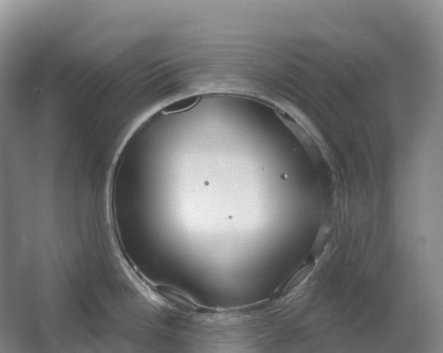 X0000064741246200602241745