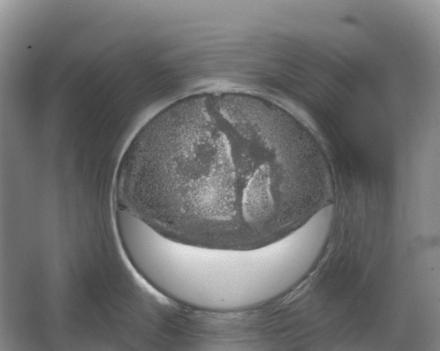 X0000064741247200602241745