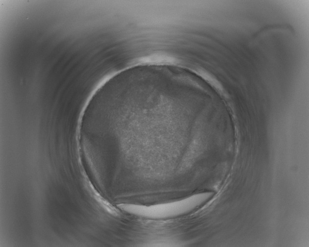 X0000064741248200602241745