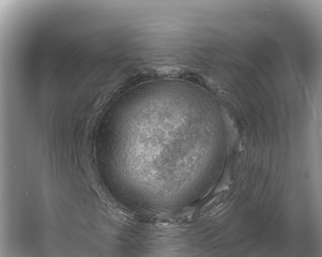 X0000064741249200602241744