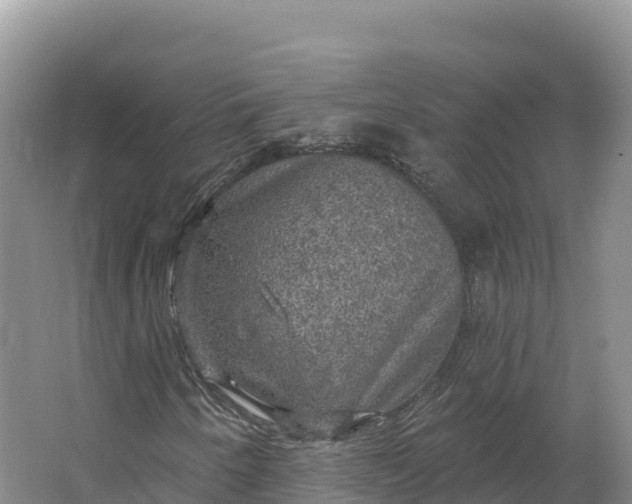 X0000064741250200602241744