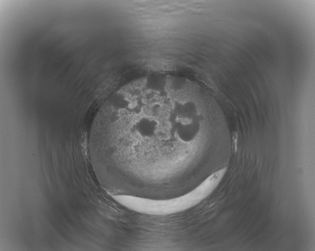 X0000064741251200602241744