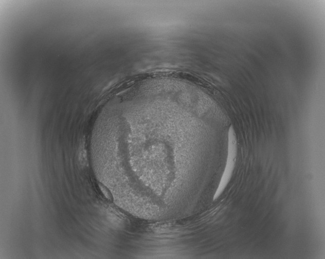 X0000064741252200602241743