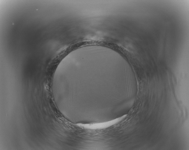 X0000064741254200602241743