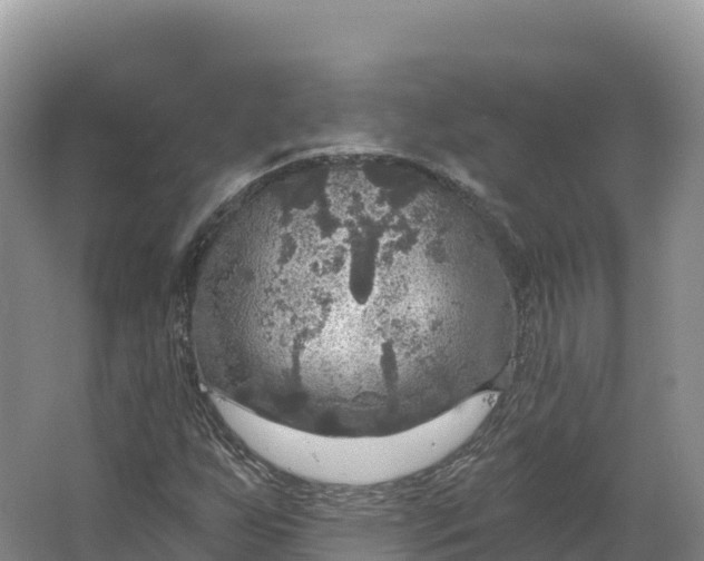 X0000064741255200602241743