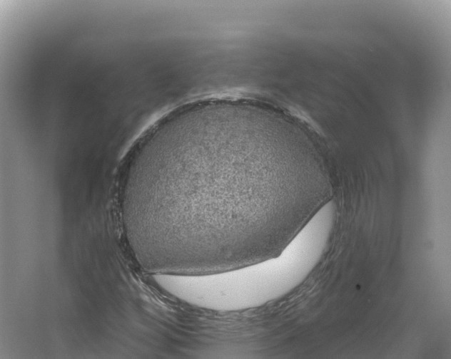 X0000064741256200602241743