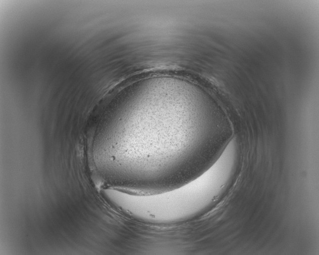 X0000064741257200602241743