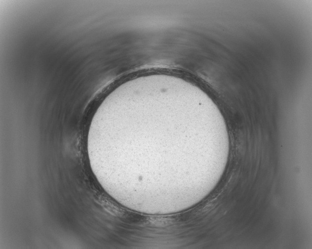 X0000064741258200602241743