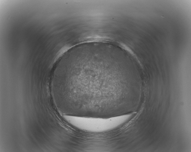 X0000064741259200602241743