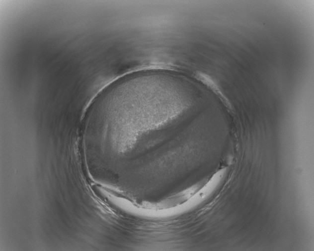 X0000064741260200602241743