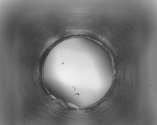 X0000064741261200602241743