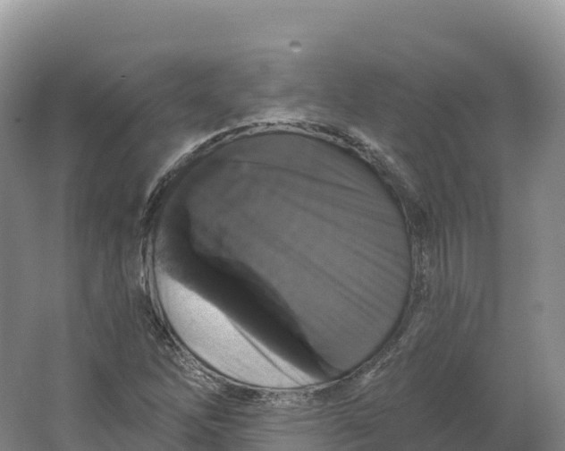 X0000064741262200602241743