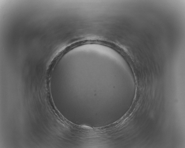 X0000064741263200602241743