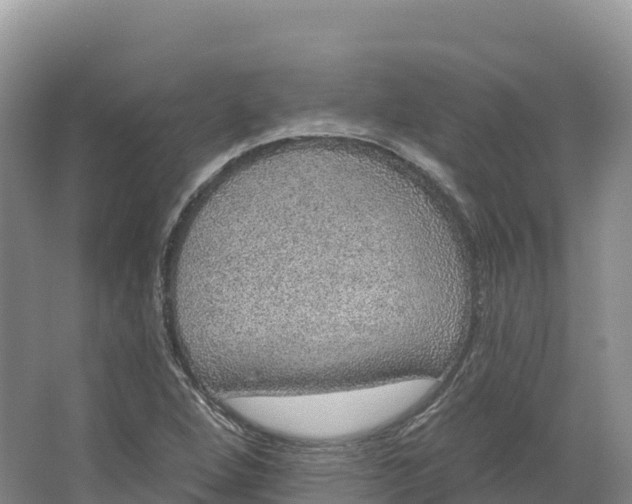 X0000064741264200602241743