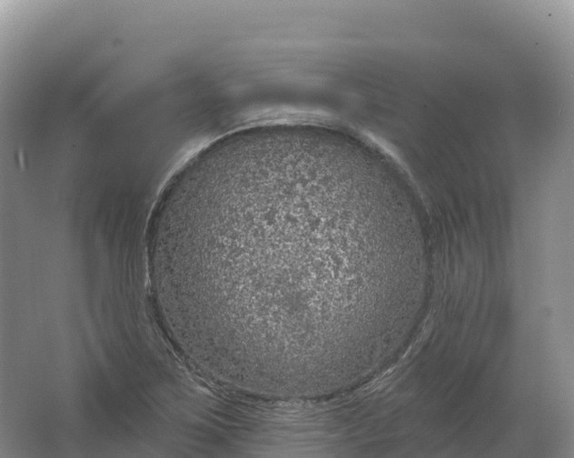 X0000064741267200602241743