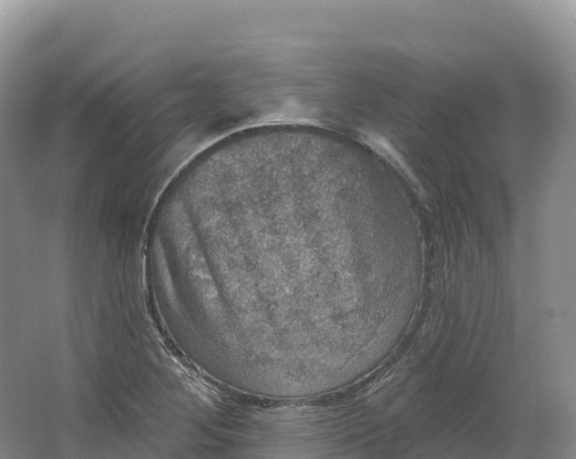 X0000064741268200602241743