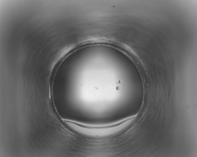 X0000064741269200602241743