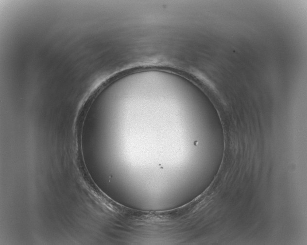 X0000064741270200602241743