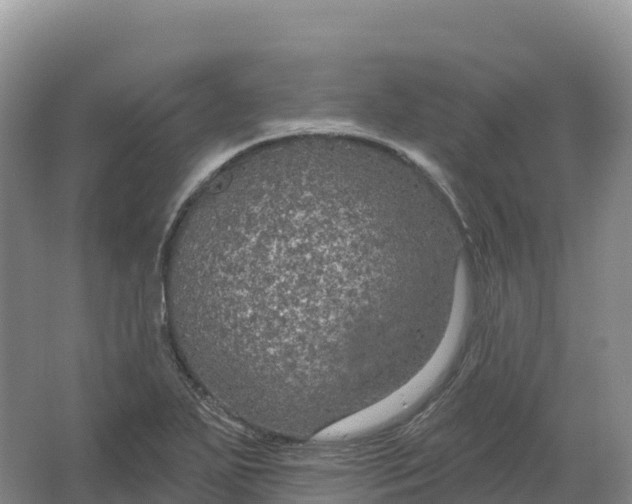 X0000064741271200602241743