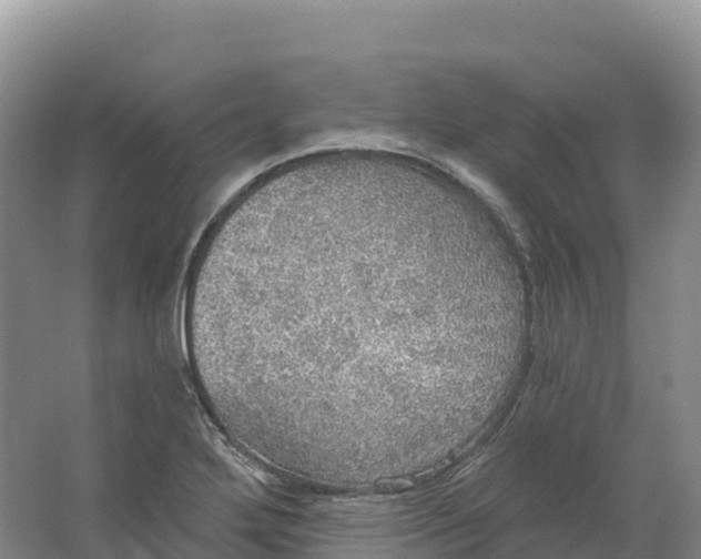 X0000064741272200602241743