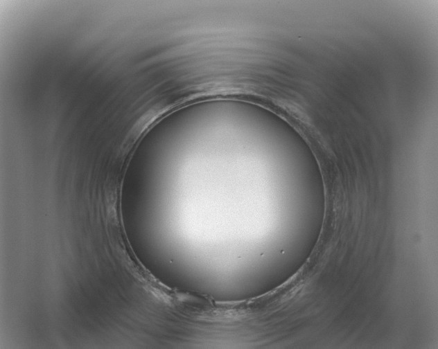 X0000064741273200602241743