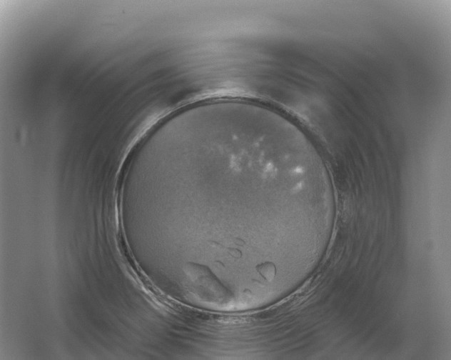 X0000064741274200602241743