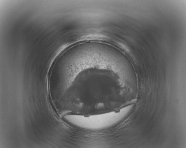 X0000064741275200602241743