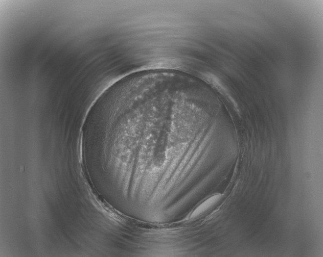 X0000064741276200602241743