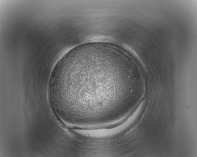 X0000064741277200602241743